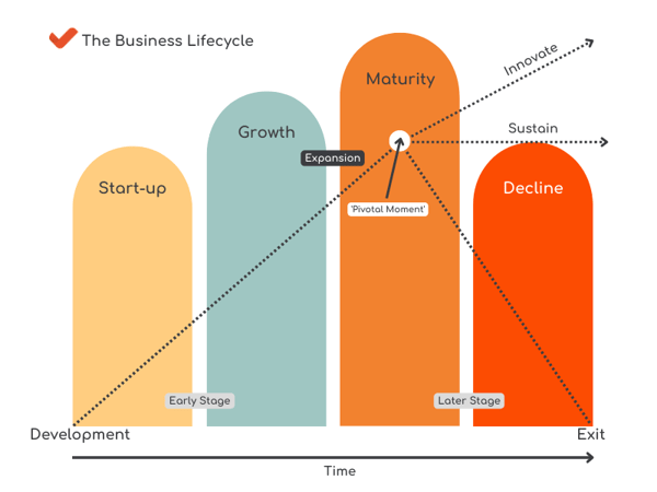 business life cycle case study